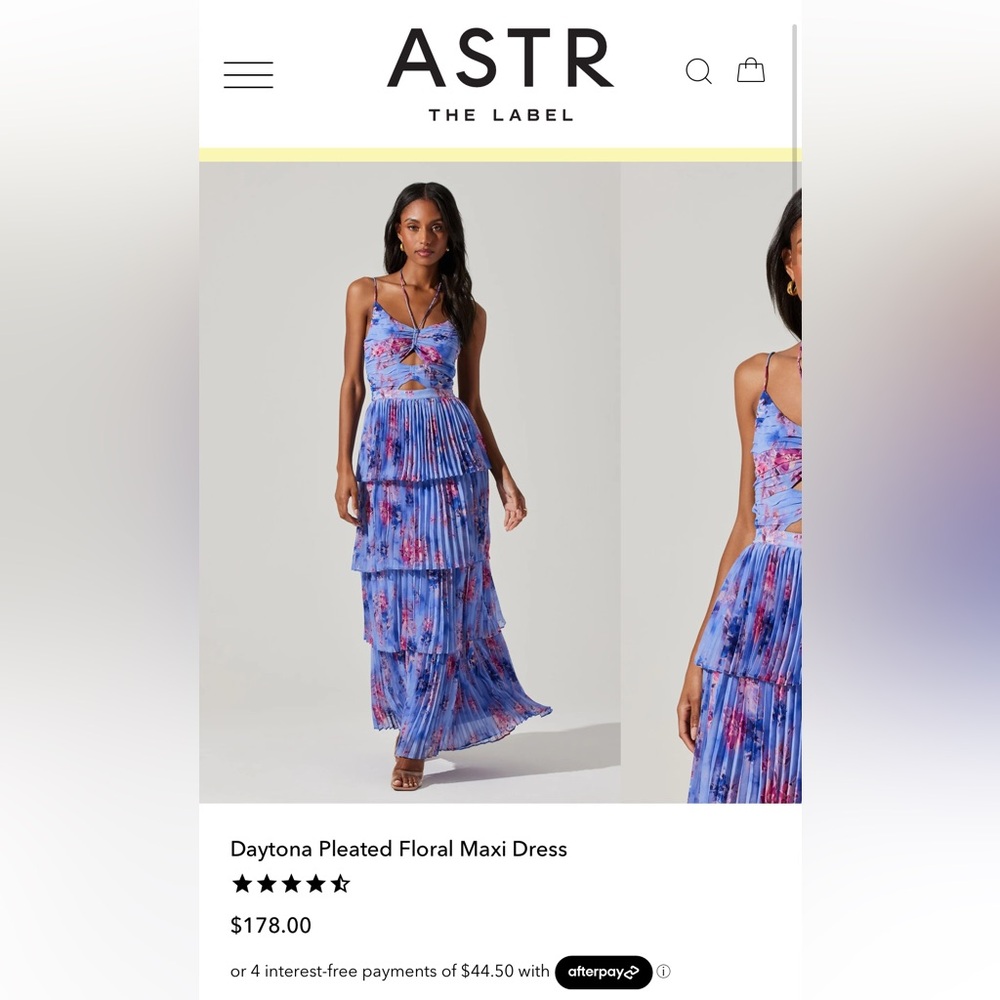 ASTR Daytona Pleated Floral Maxi Dress in Blue and Pink